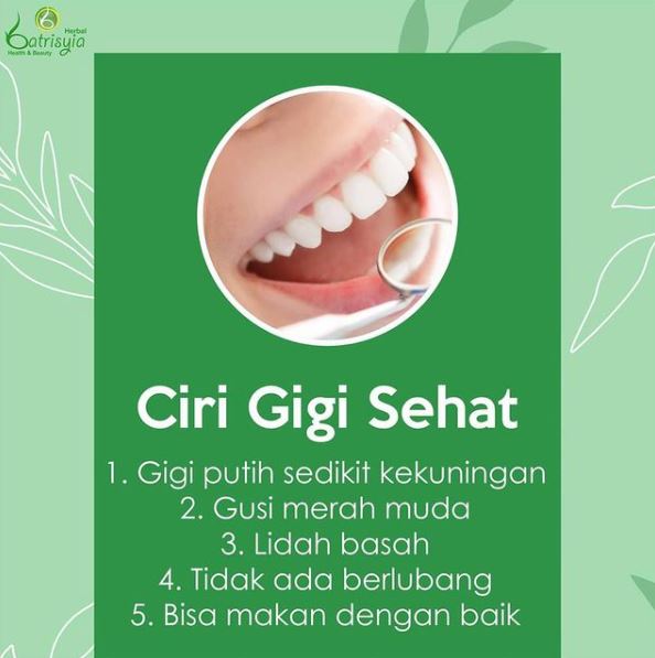 karakteristik gigii yang sehat dan kuat