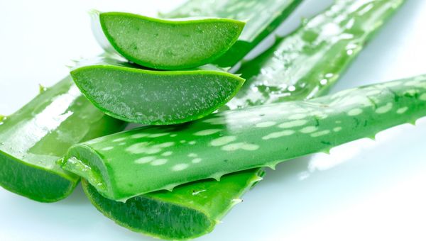 kegunaan aloe vera untuk wajah