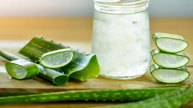 Aloe vera atasi rambut kering dan kulit kering