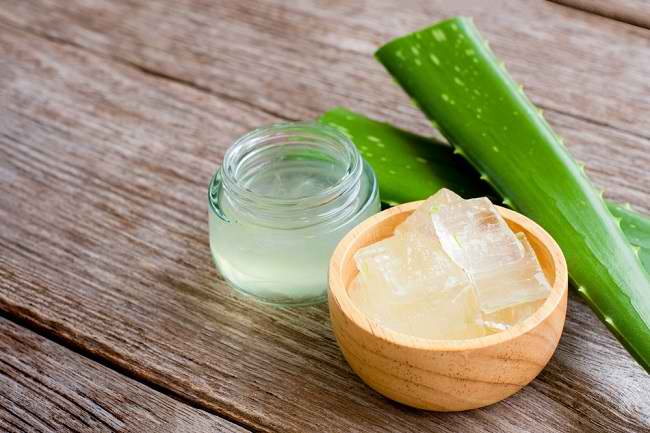 aloe vera untuk kecantikan