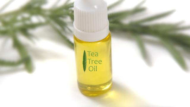 manfaat menggunakan tea tree oil