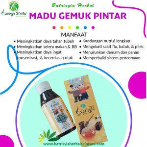 batrisyia herbal madu gemoi gemuk pintar