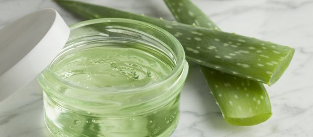 Segudang Manfaat Aloe Vera untuk Kecantikan