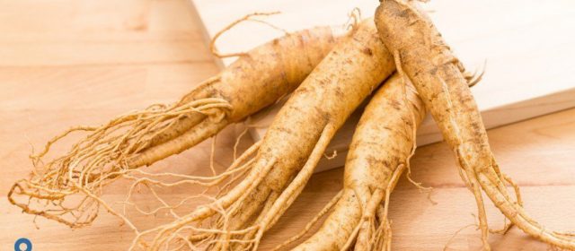 Manfaat Ginseng untuk Rambut Kamu